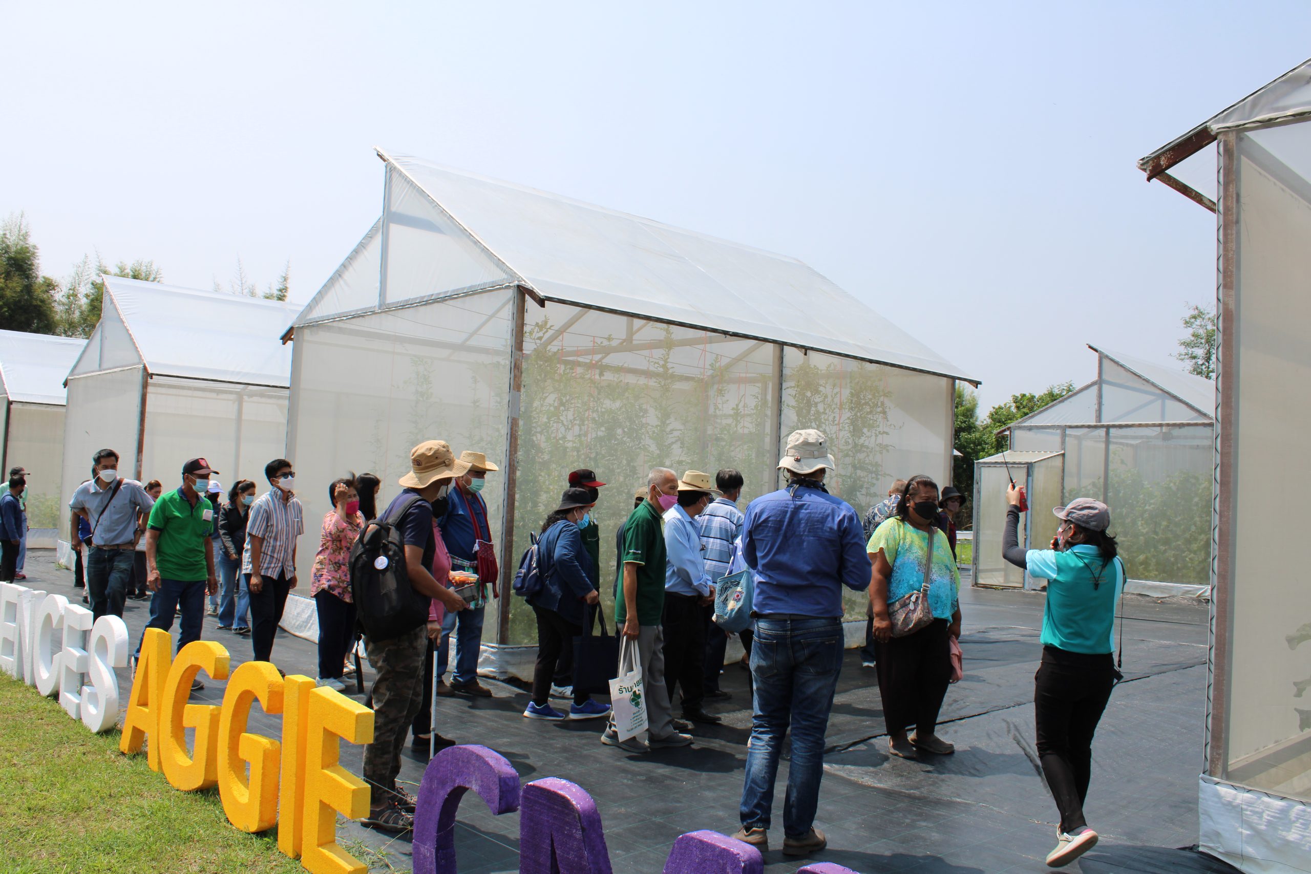 Management and utilization of dung from a demonstration pen for the ...